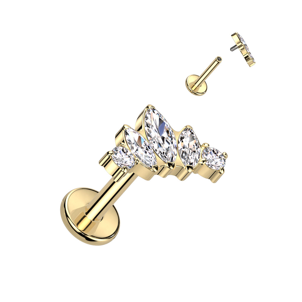 Implant Grade Titanium Internally Threaded Labret Fan Top